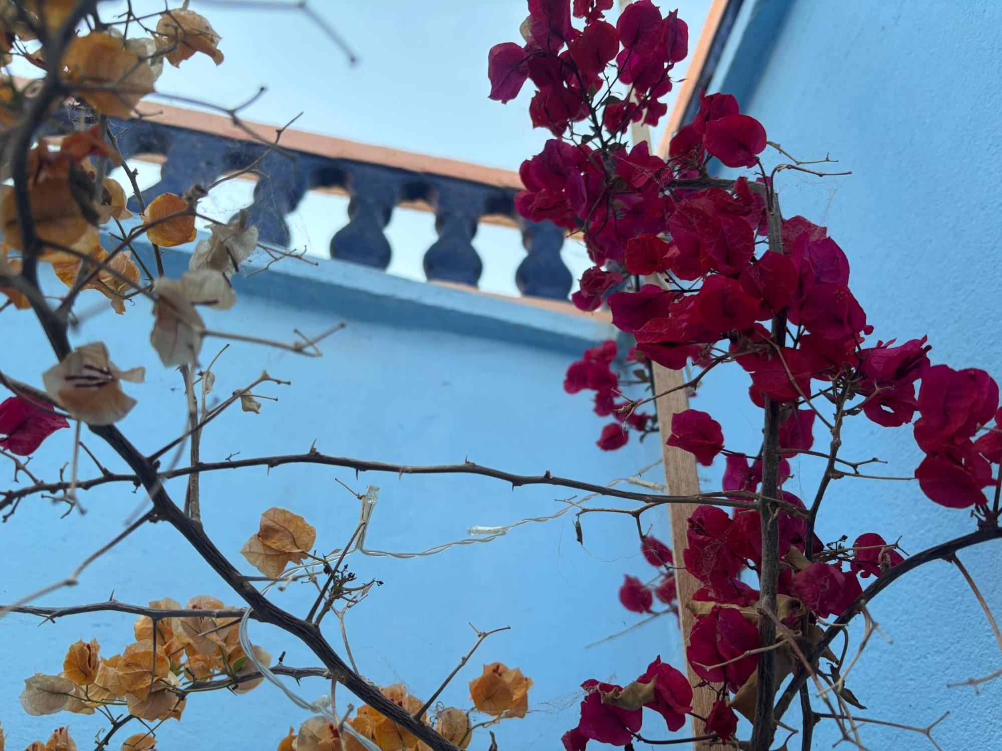 シディ・イフニー Casa Moriscaヴィラ エクステリア 写真